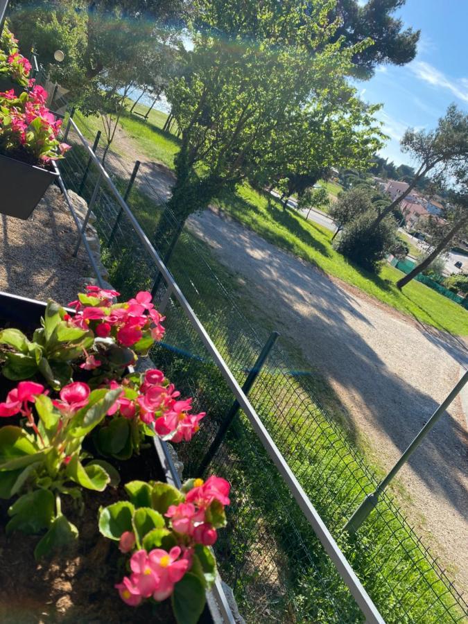 Mobile Biondina Camp Porton Nature Hideouts *